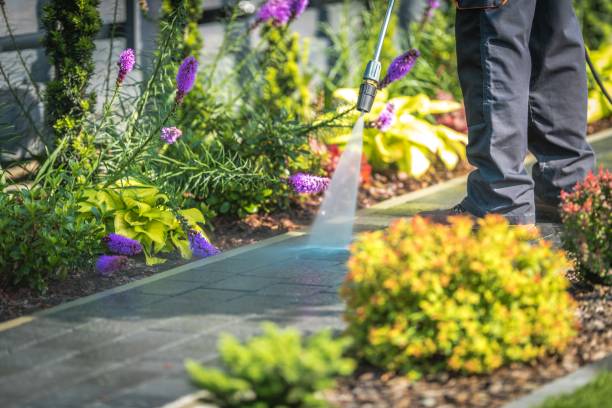 Best Parking Lot and Garage Cleaning  in Scott, LA